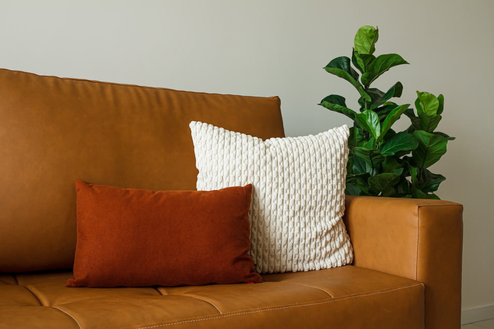 a couch with two pillows and a potted plant