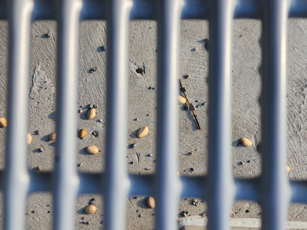 a close up of a metal fence with nuts on it