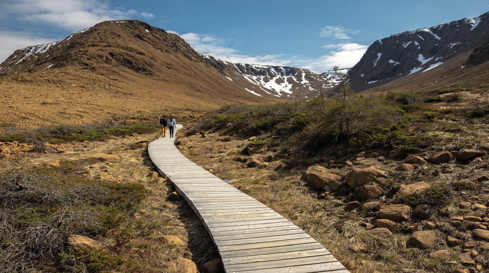 two people walking on a wooden path in the mountains