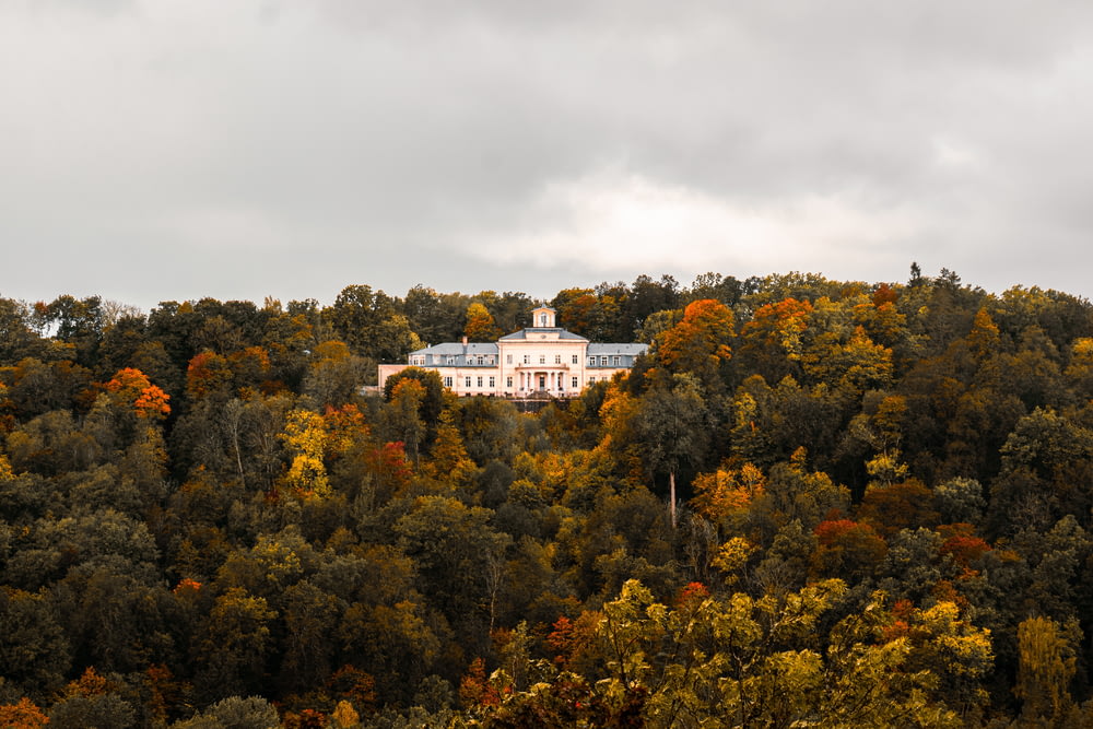 uma grande casa branca no topo de uma colina cercada por árvores