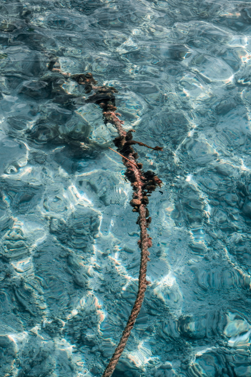 una cuerda en medio de un cuerpo de agua