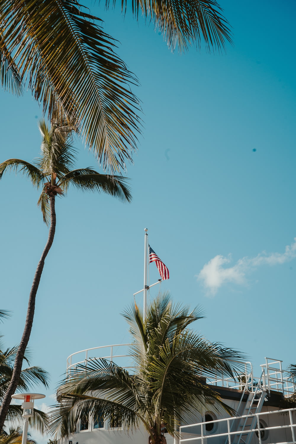 a palm tree and a flag on top of a building