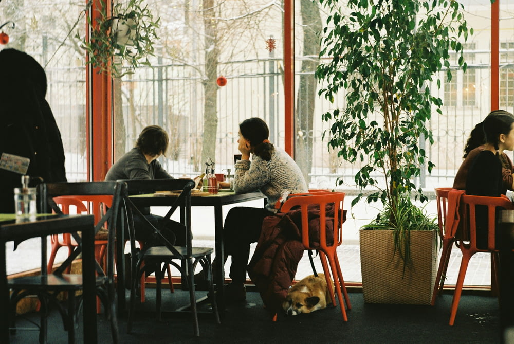 Un gruppo di persone sedute a un tavolo in un ristorante