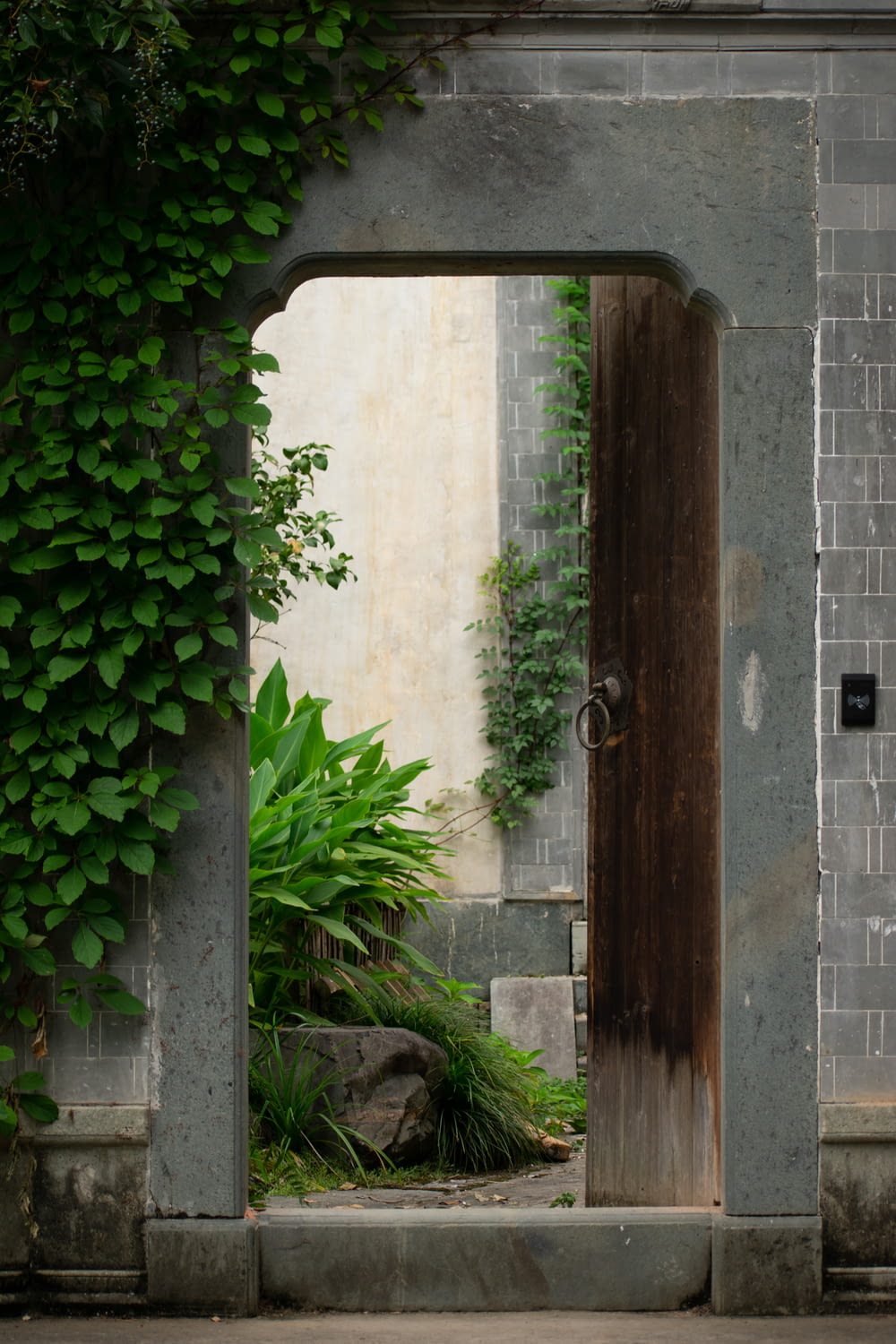 an open door in a stone wall with a plant growing on it
