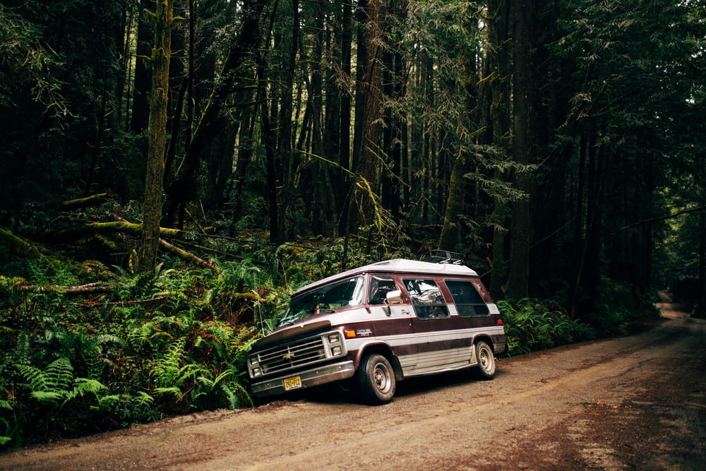 Uma van está estacionada em uma estrada de terra na floresta