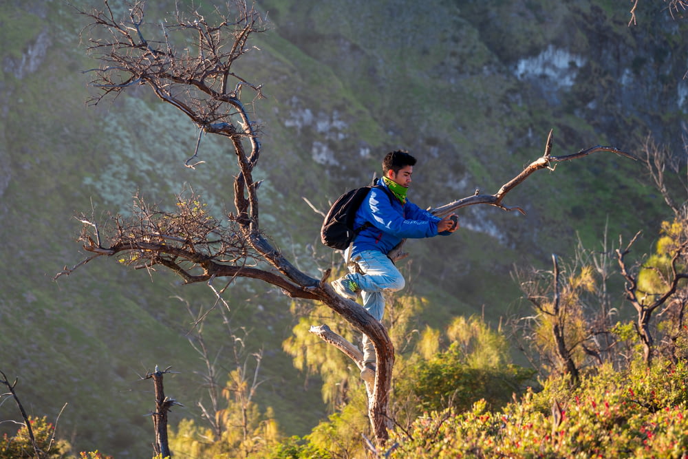 a man standing on a tree branch with a backpack on his back