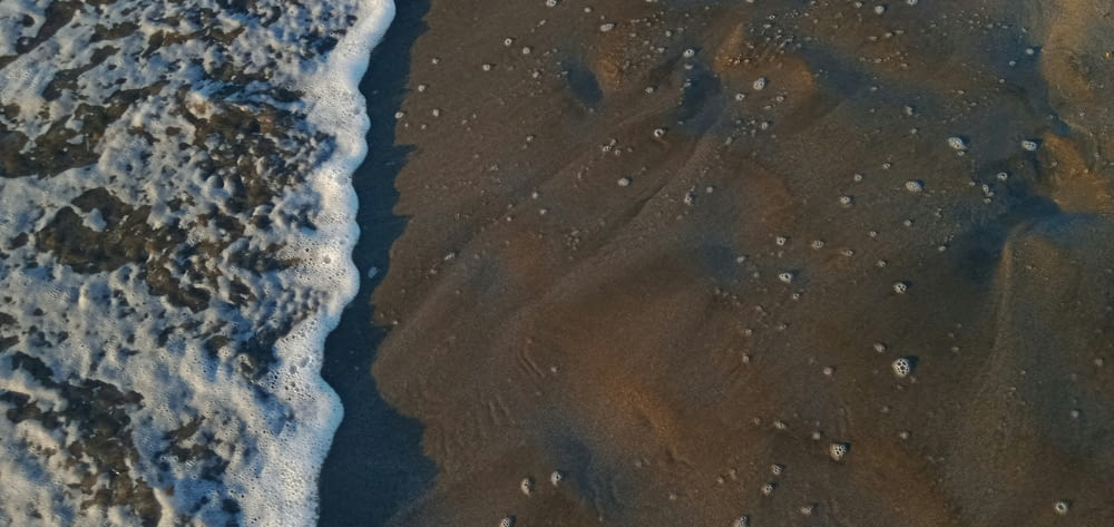 파도와 모래가 있는 해변의 조감도