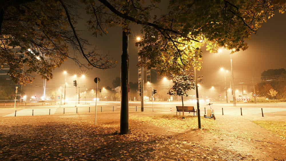 a park at night with a bench and street lights