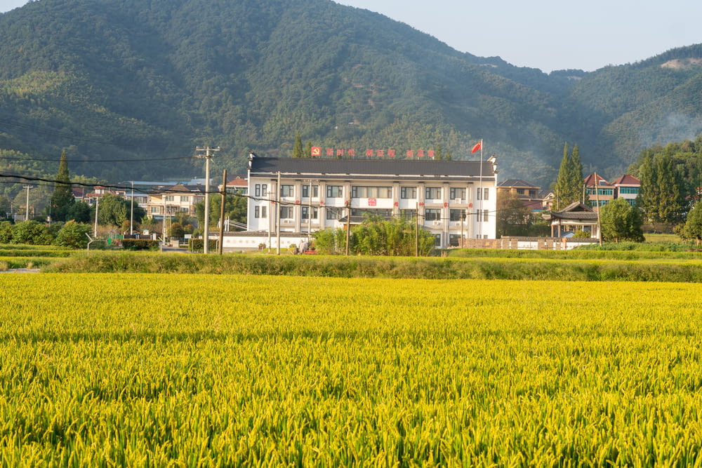 a large white building sitting in the middle of a lush green field