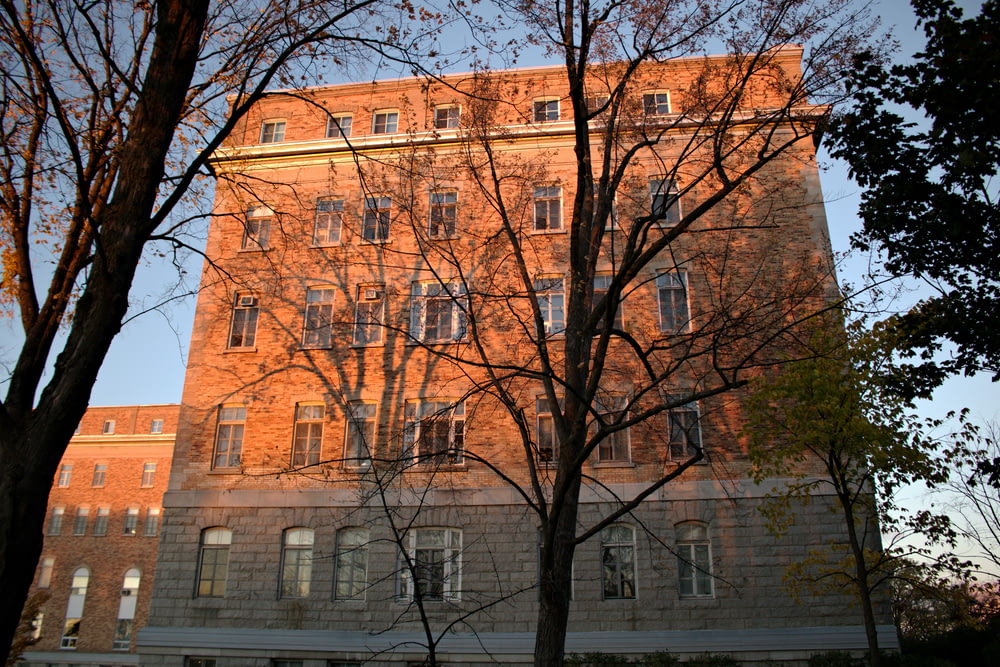 a tall brick building with many windows and trees in front of it