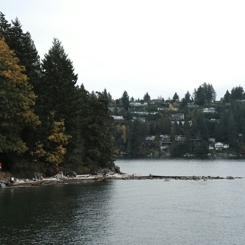 a body of water surrounded by trees and houses