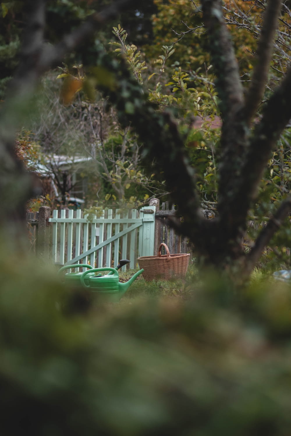 a green wheelbarrow sitting in the middle of a yard