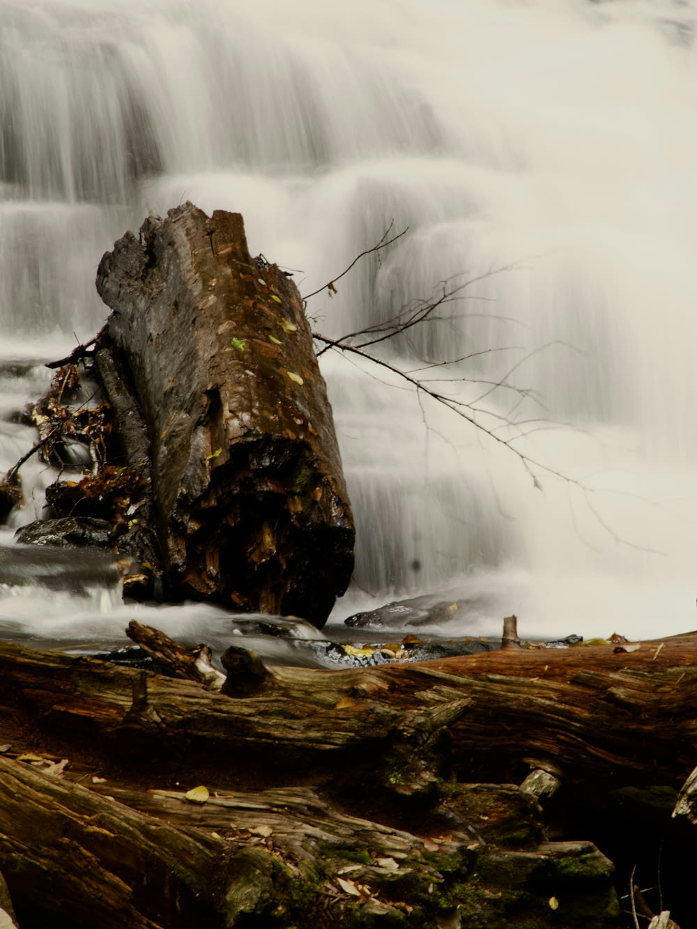 a log laying on the ground in front of a waterfall