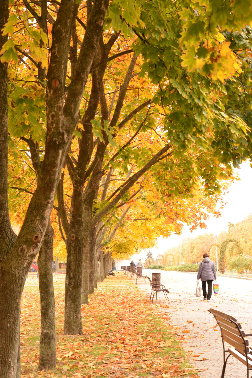a woman walking down a sidewalk next to a row of trees