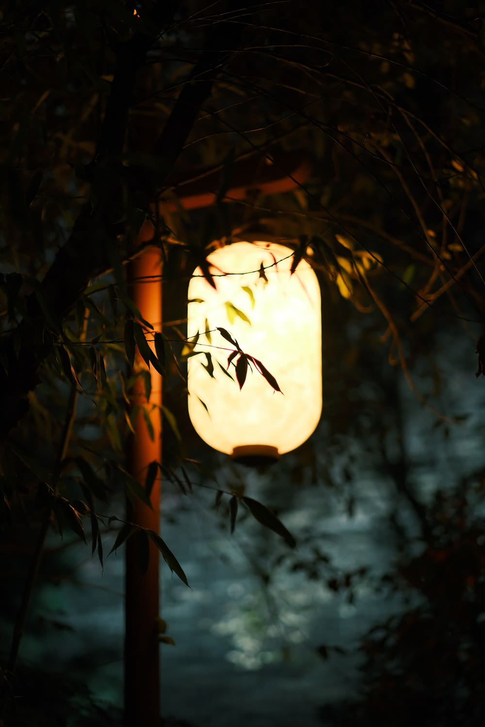 a lantern hanging from a tree in the dark