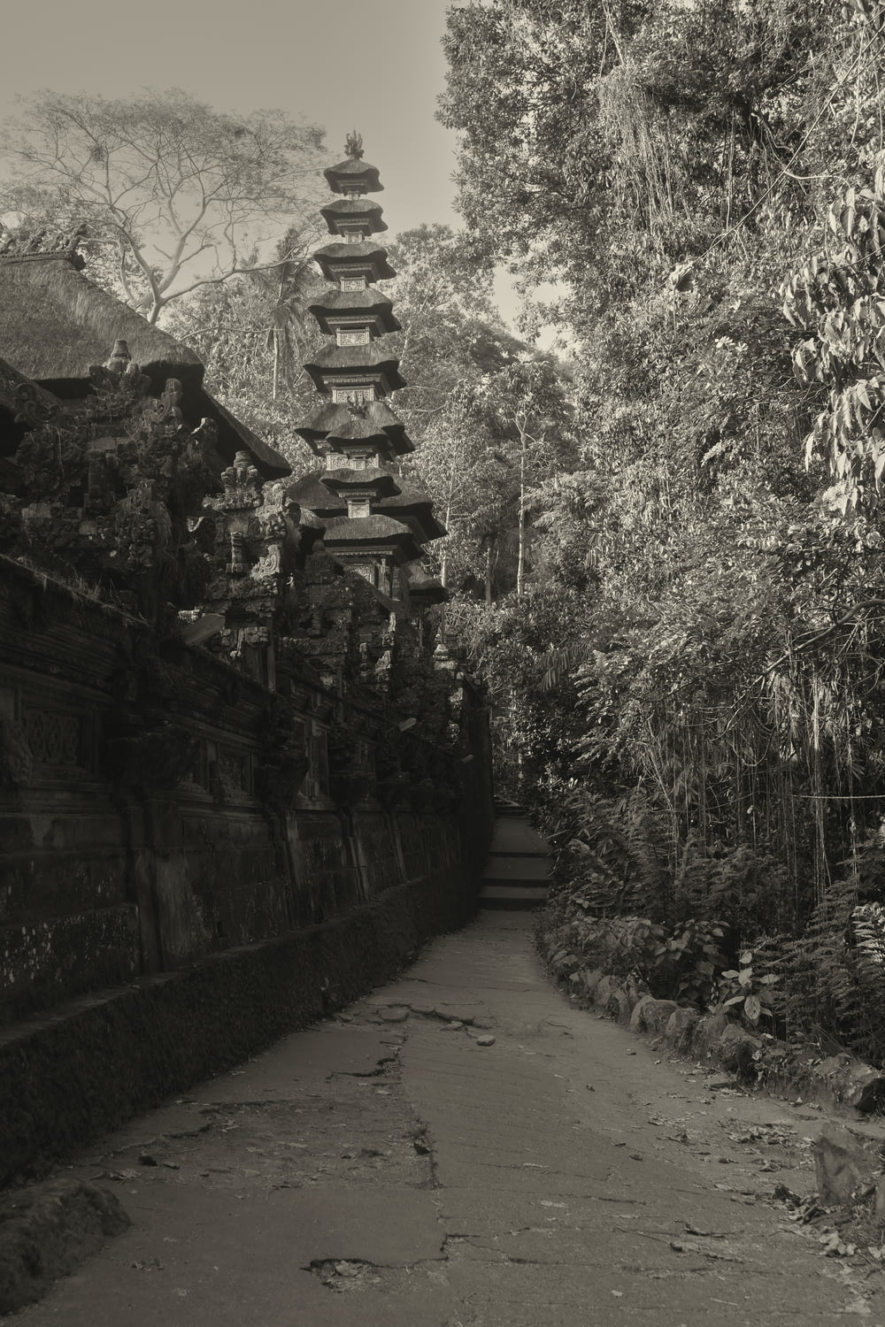 Una foto en blanco y negro de un camino con una pagoda de fondo