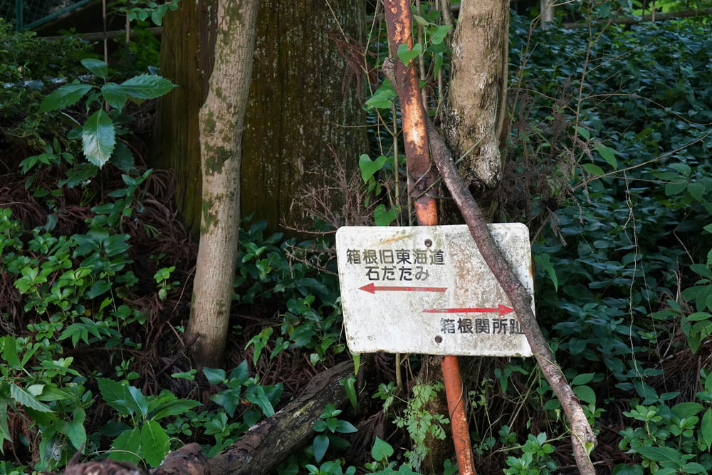 a sign that is in the middle of a forest