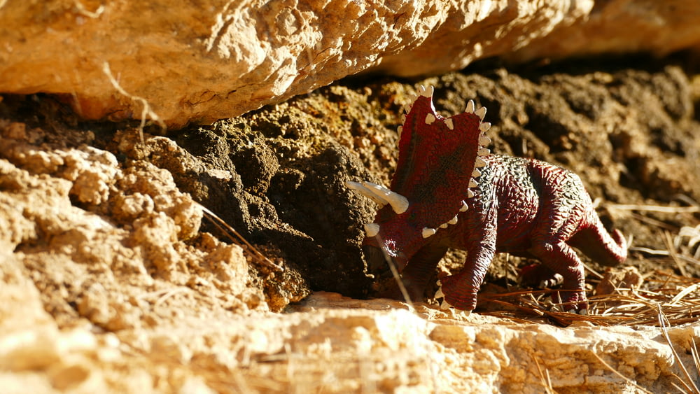 a toy dinosaur is standing in the dirt
