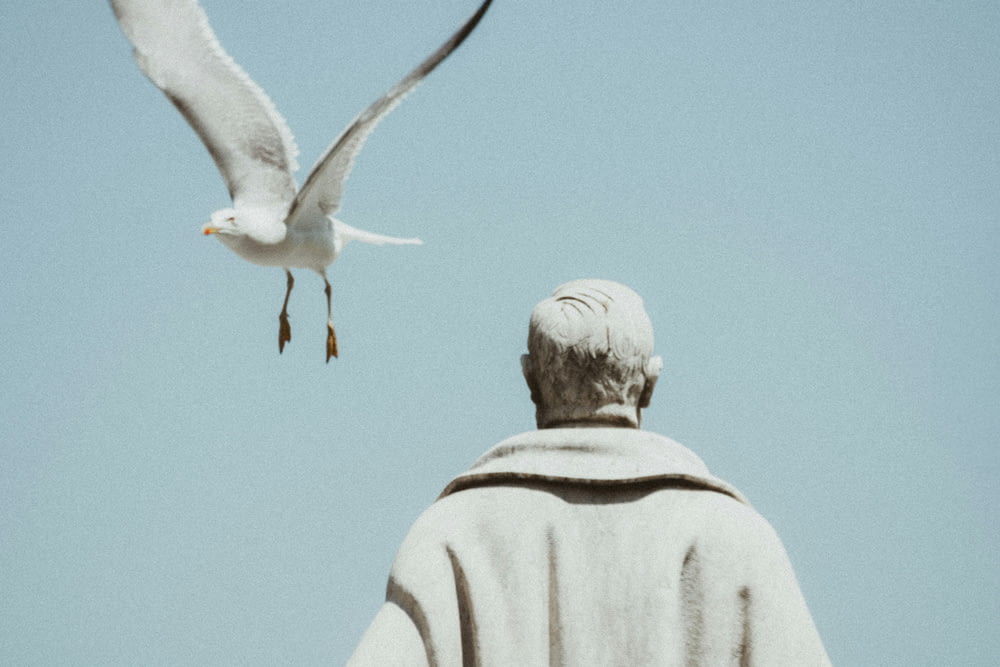 a white bird flying over a statue of a man