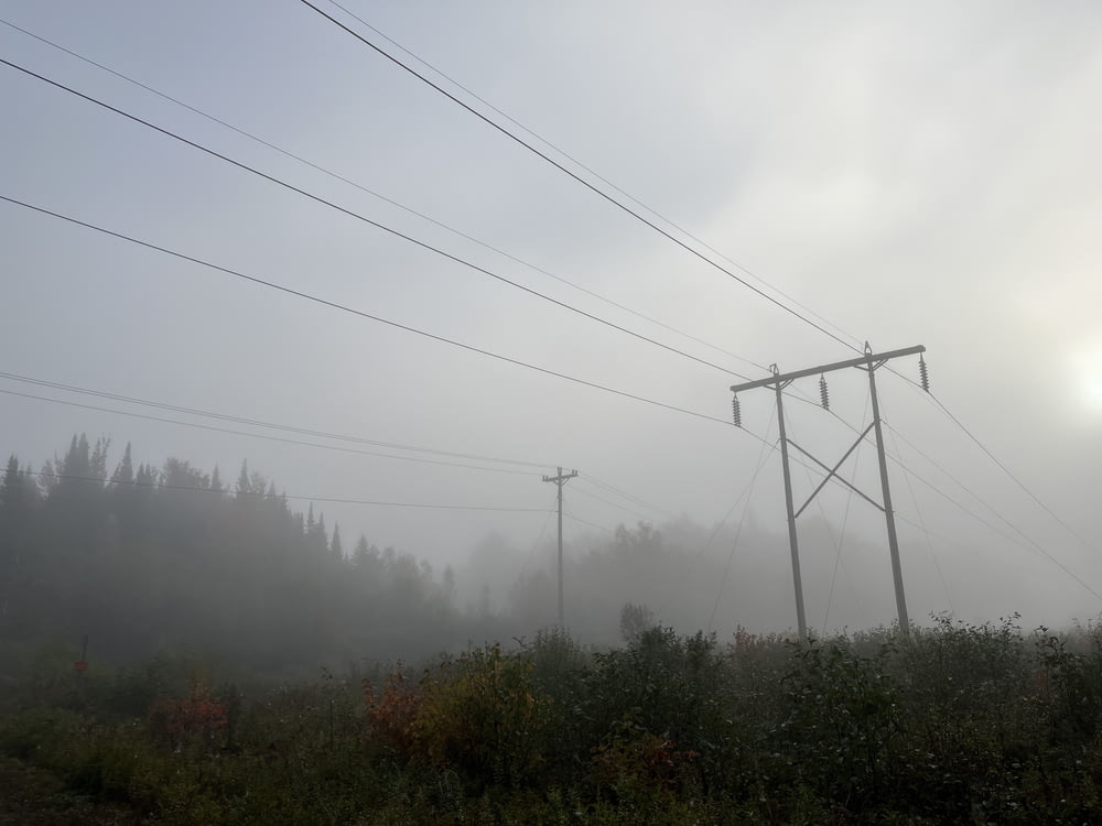 un campo nebbioso con linee elettriche e alberi