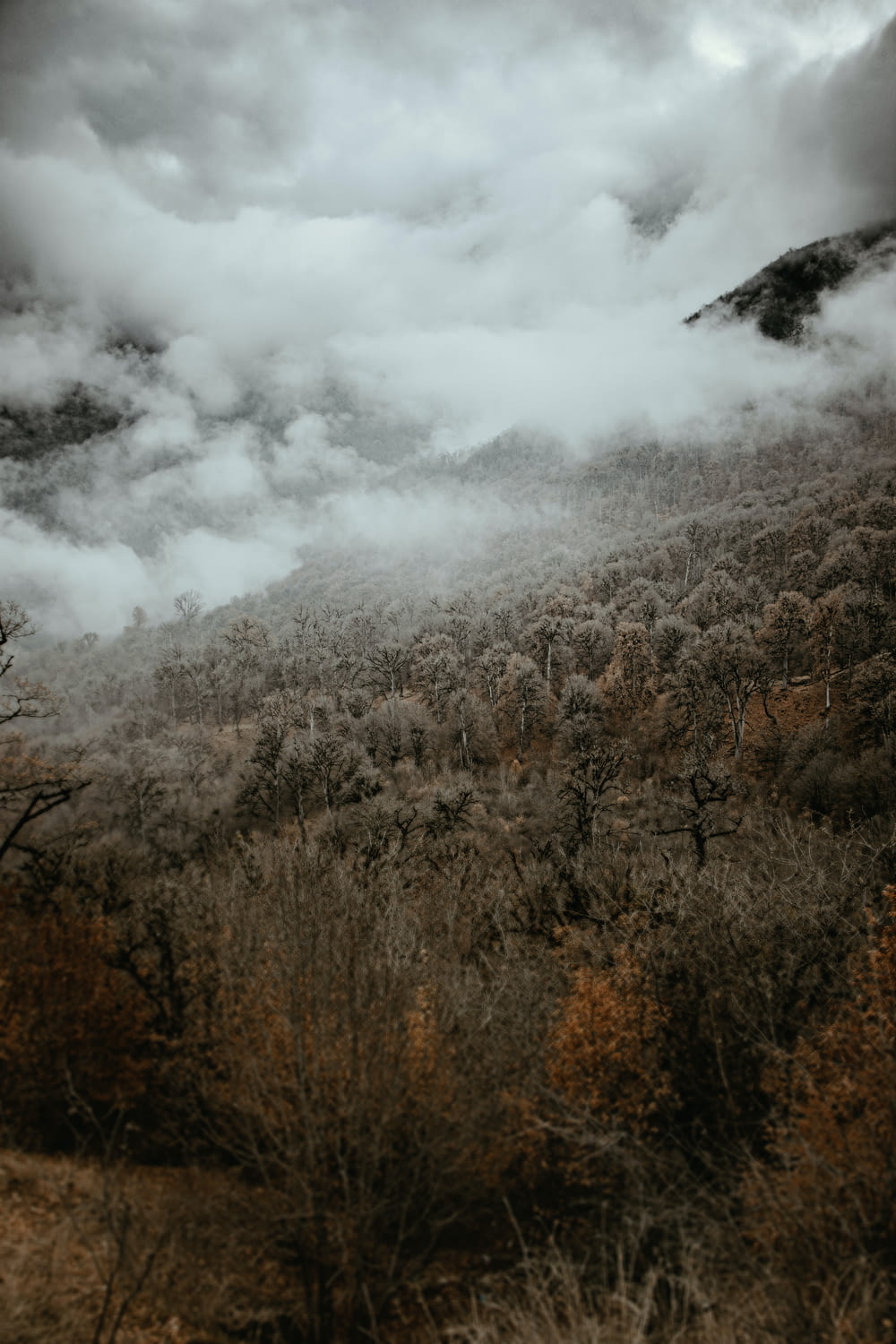 a mountain covered in clouds and trees