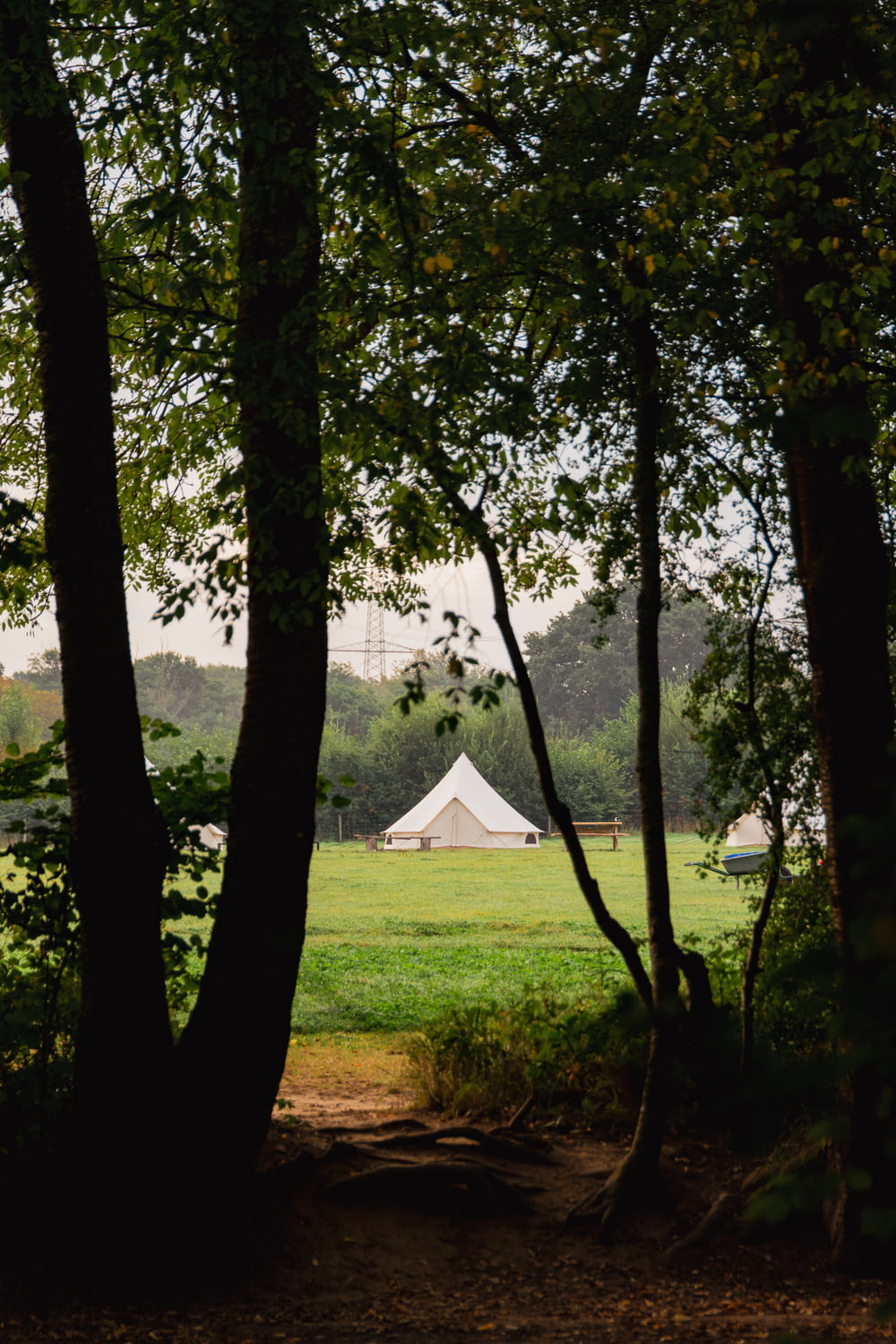 a tent is in the distance between two trees