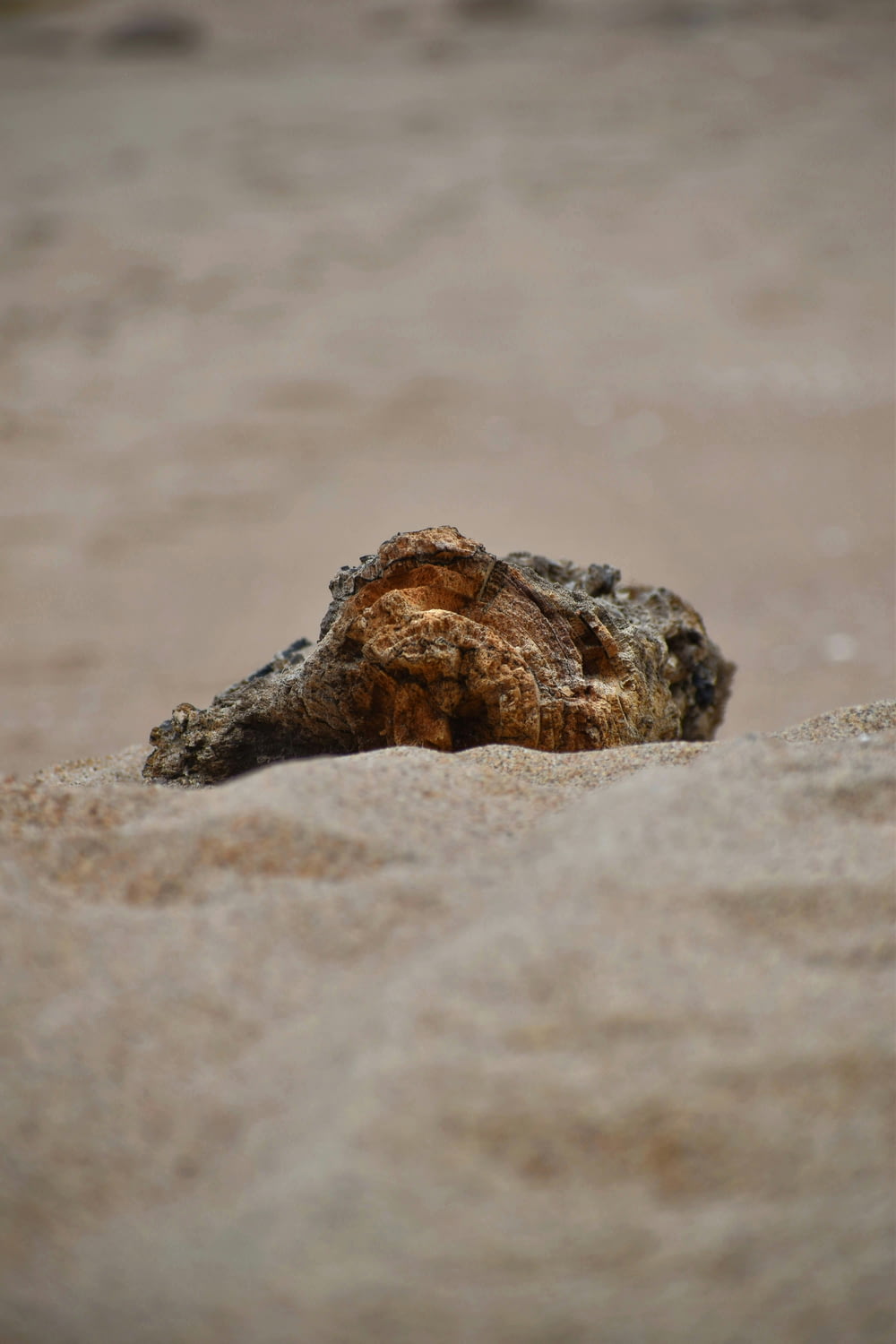 a rock sticking out of the sand on a beach