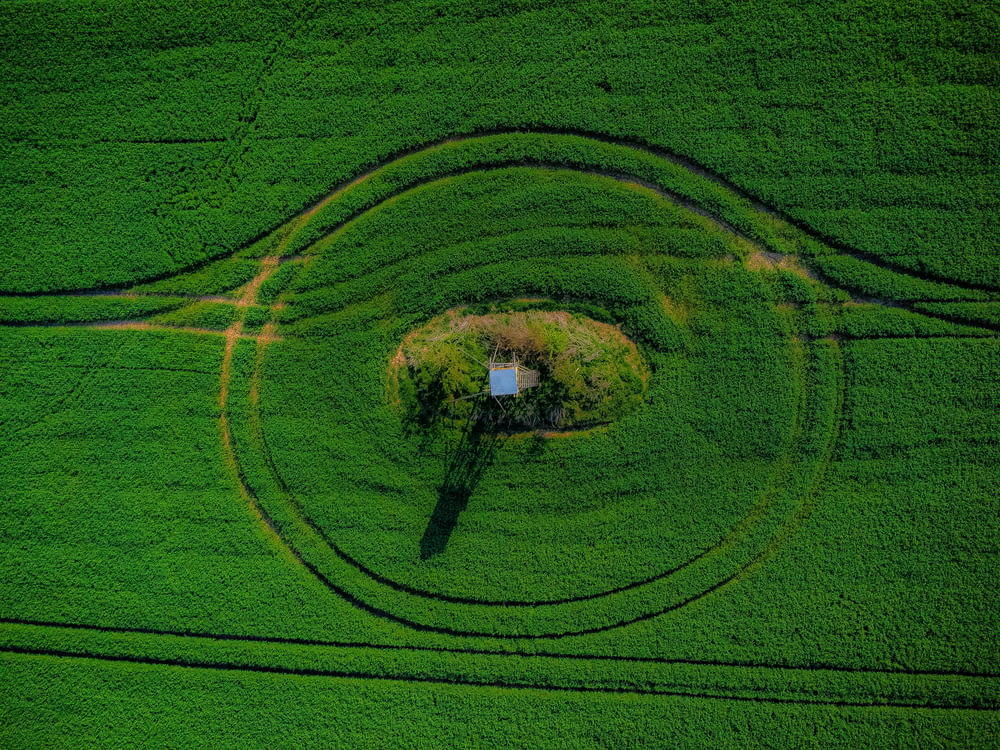 an aerial view of a green field with a house in the center