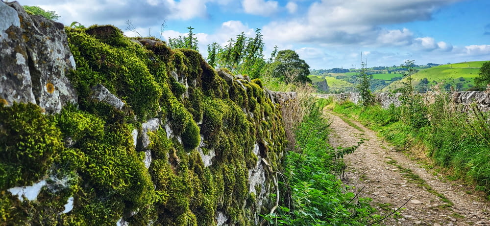uma estrada de terra que fica ao lado de um muro coberto de musgo