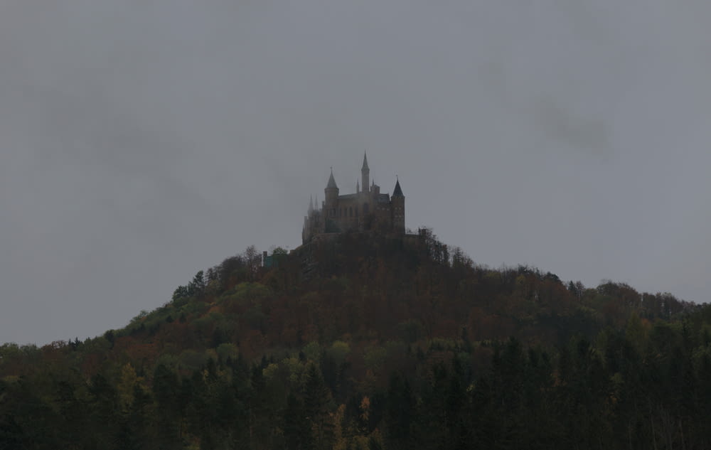 a castle sitting on top of a hill surrounded by trees