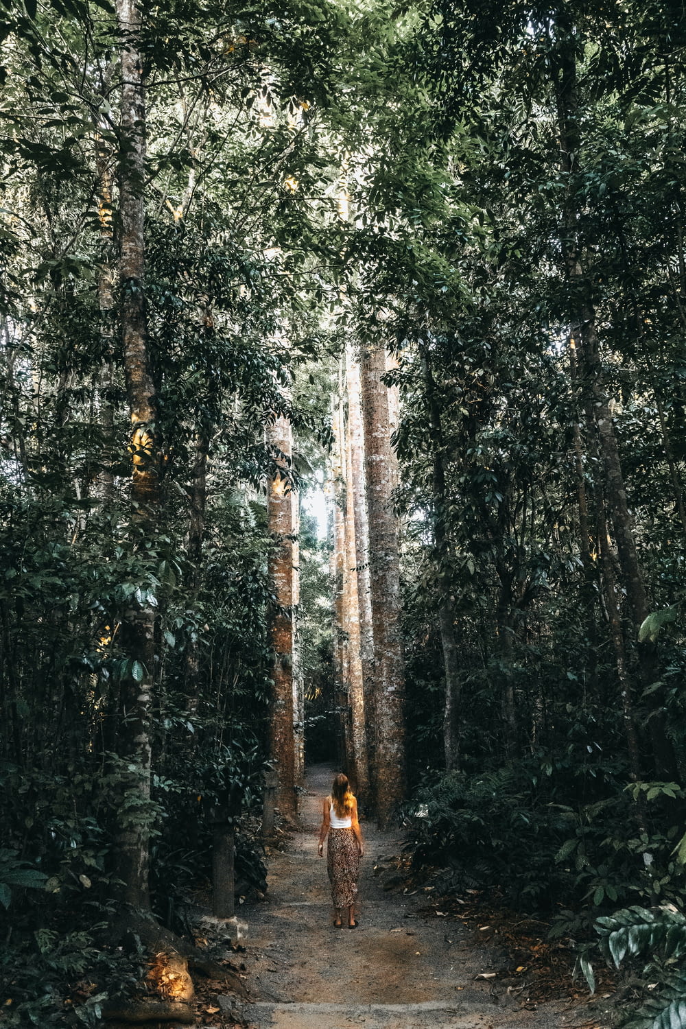 una donna che cammina lungo un sentiero sterrato in mezzo a una foresta