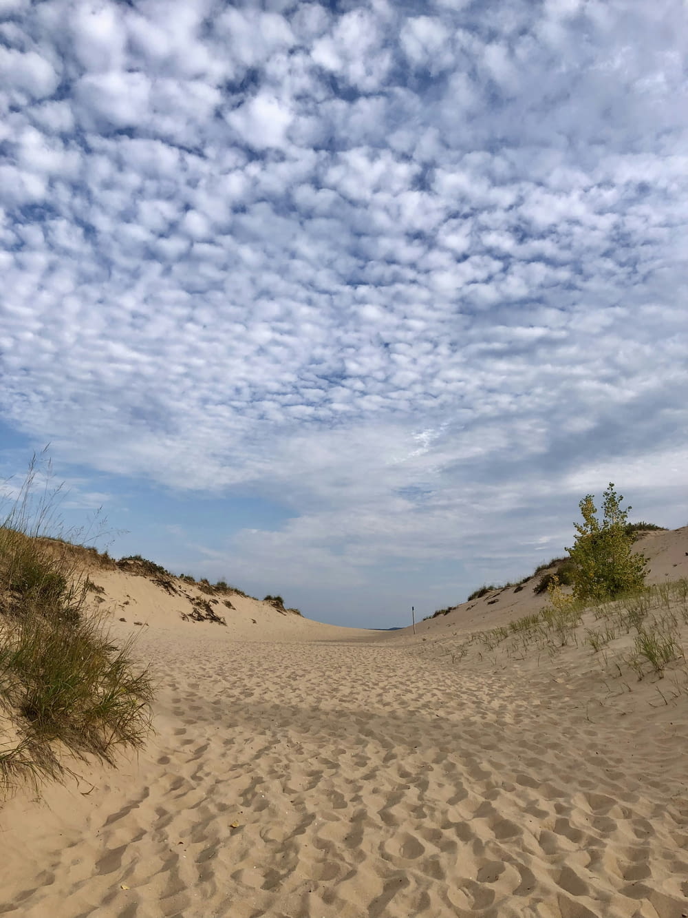 a sandy path leading to the ocean under a cloudy sky
