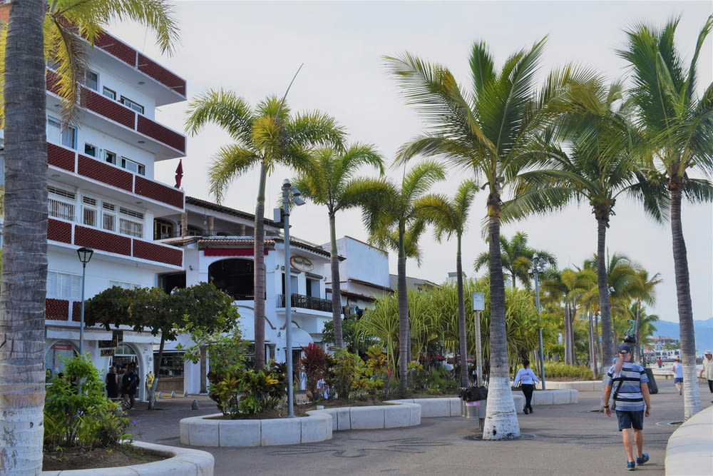 a man walking down a street next to palm trees