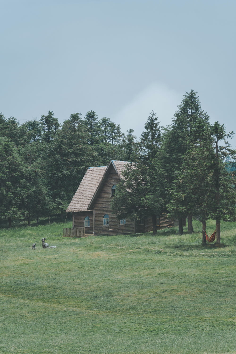 une cabane au milieu d’un champ avec des arbres en arrière-plan