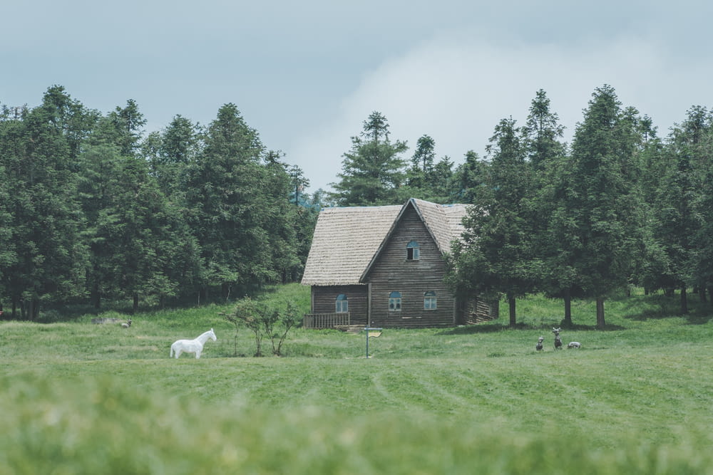 un cheval debout dans un champ à côté d’une maison