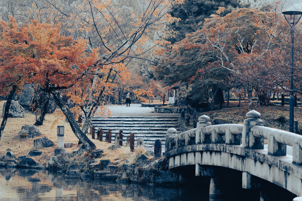 a bridge over a body of water in a park