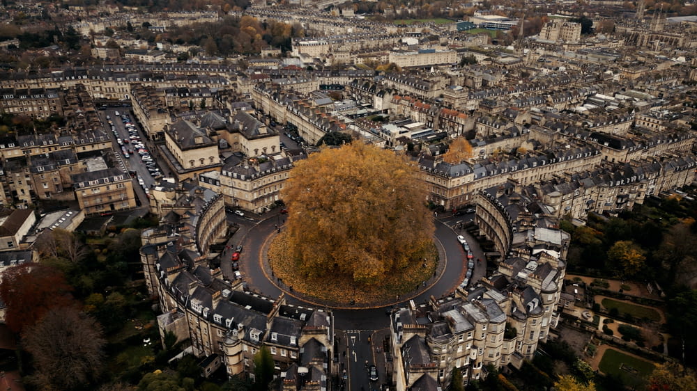 an aerial view of a city with a tree in the middle
