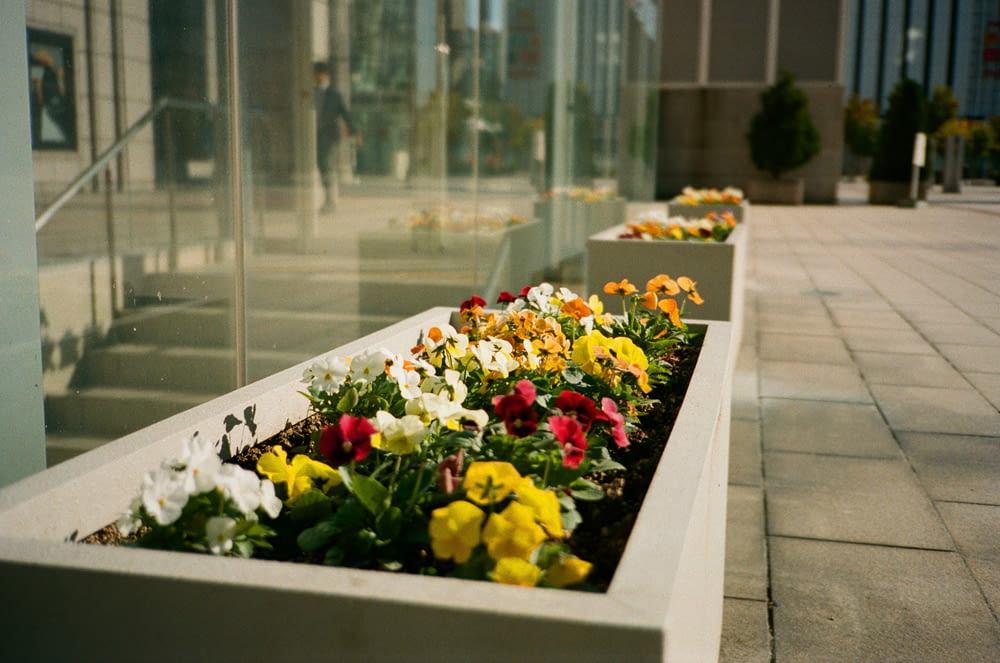 a row of flower boxes sitting on the side of a building