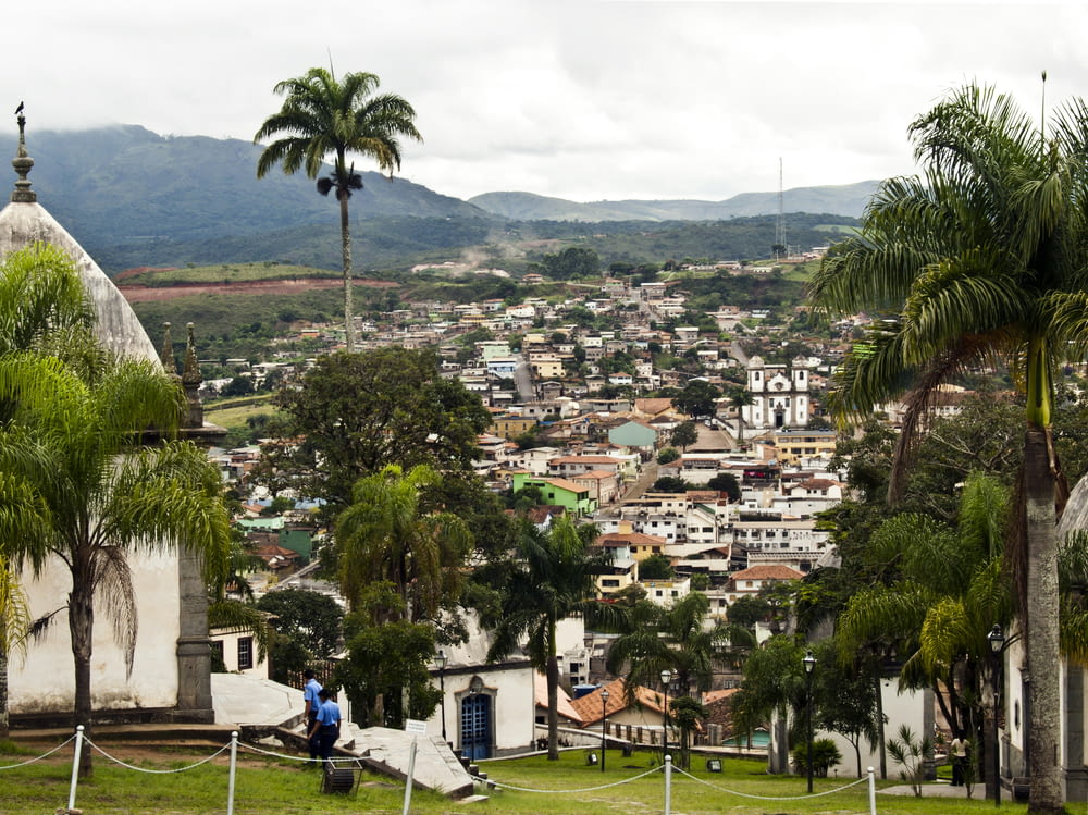 a view of a city from a hill with palm trees