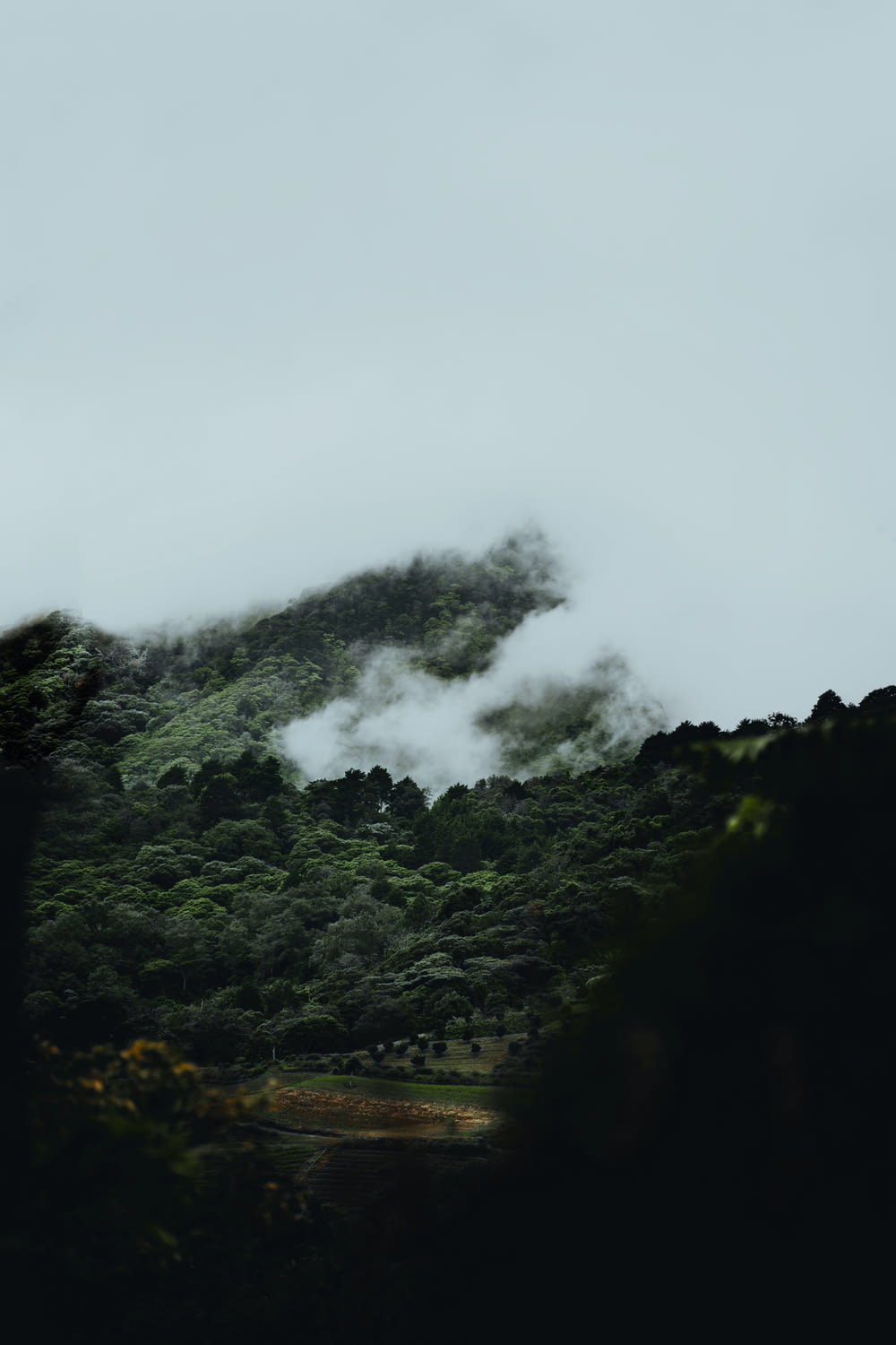 a mountain covered in trees and clouds on a cloudy day