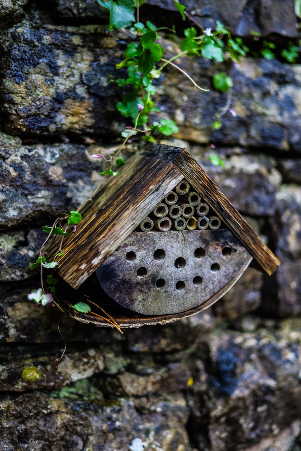 a bird house hanging on a brick wall
