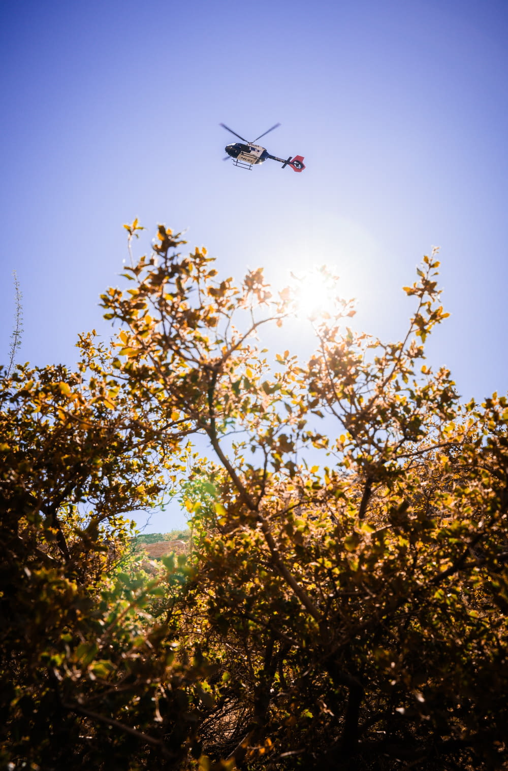 a helicopter flying over a tree filled forest