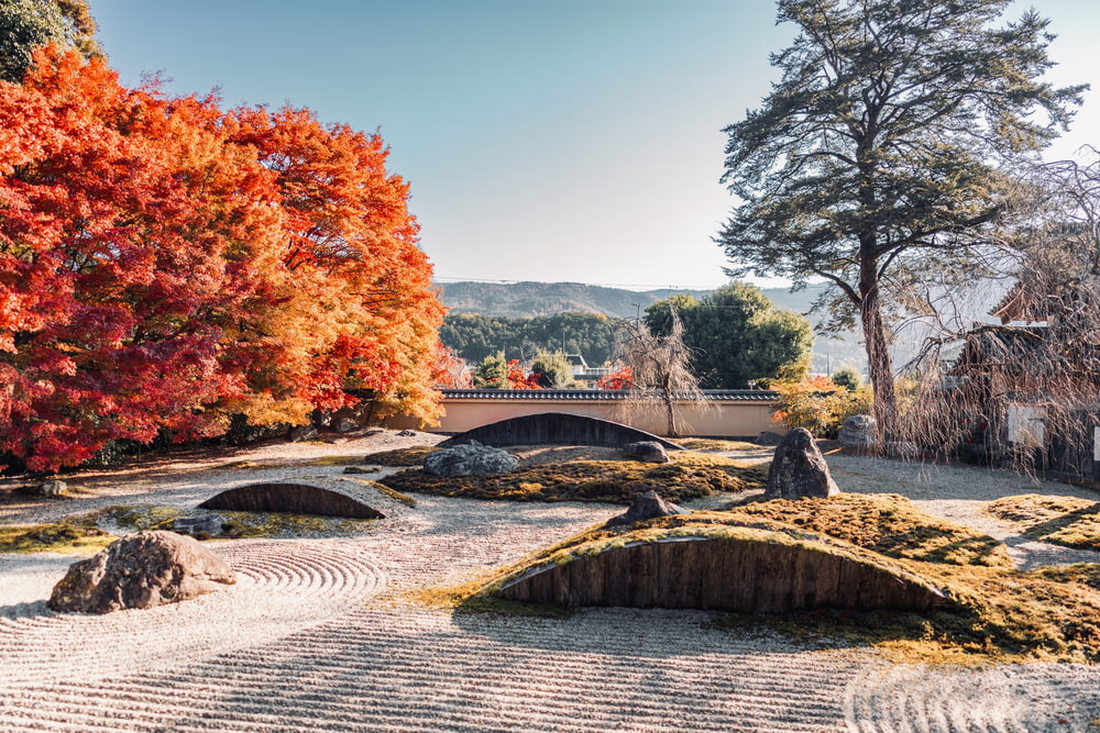 a japanese garden with a stone bridge in the background