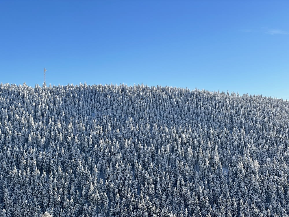 a mountain covered in snow covered trees under a blue sky