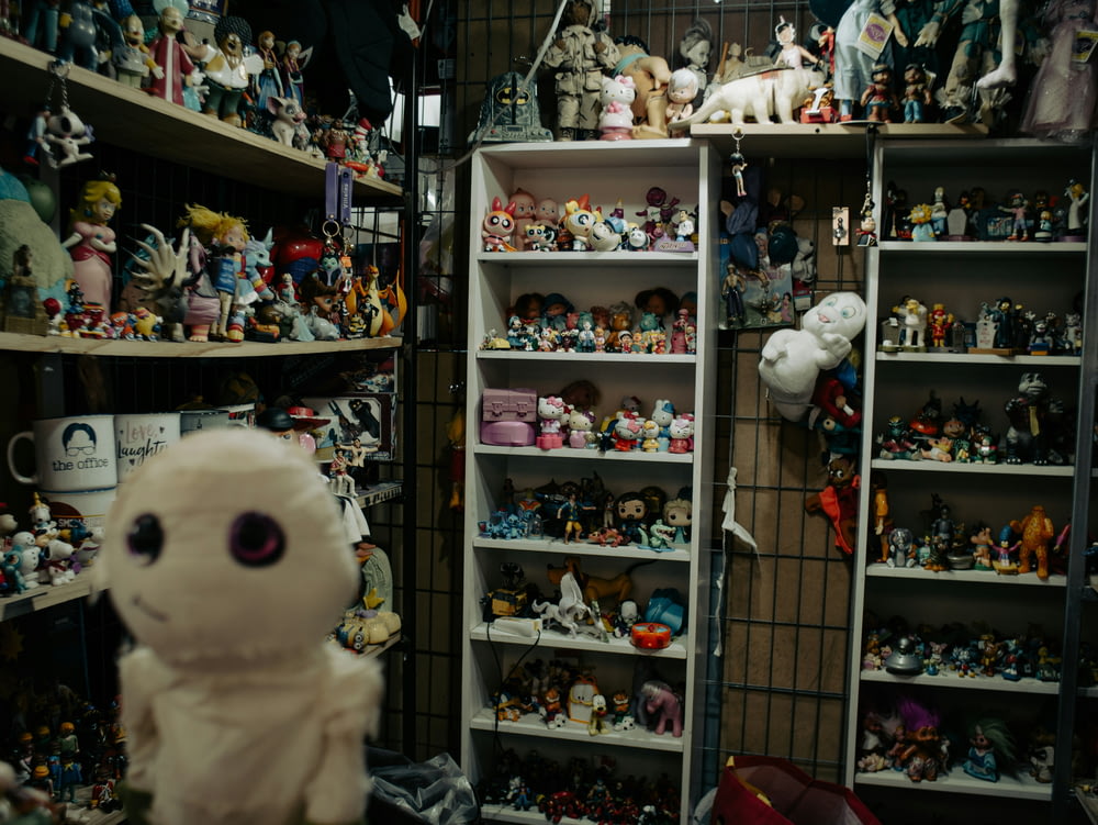 a room filled with shelves filled with lots of toys