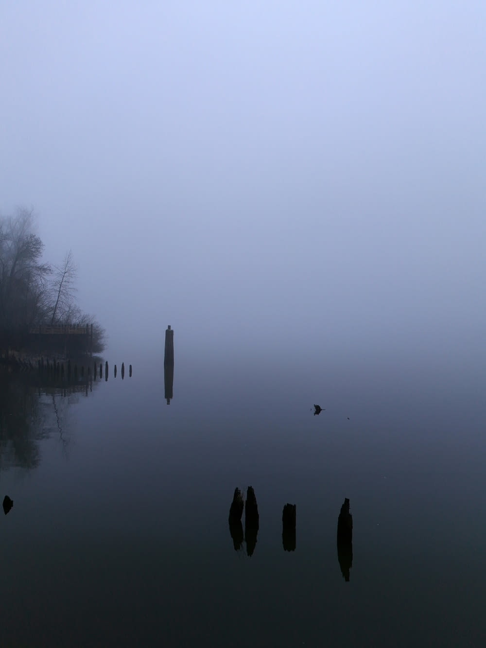 a body of water surrounded by trees and fog