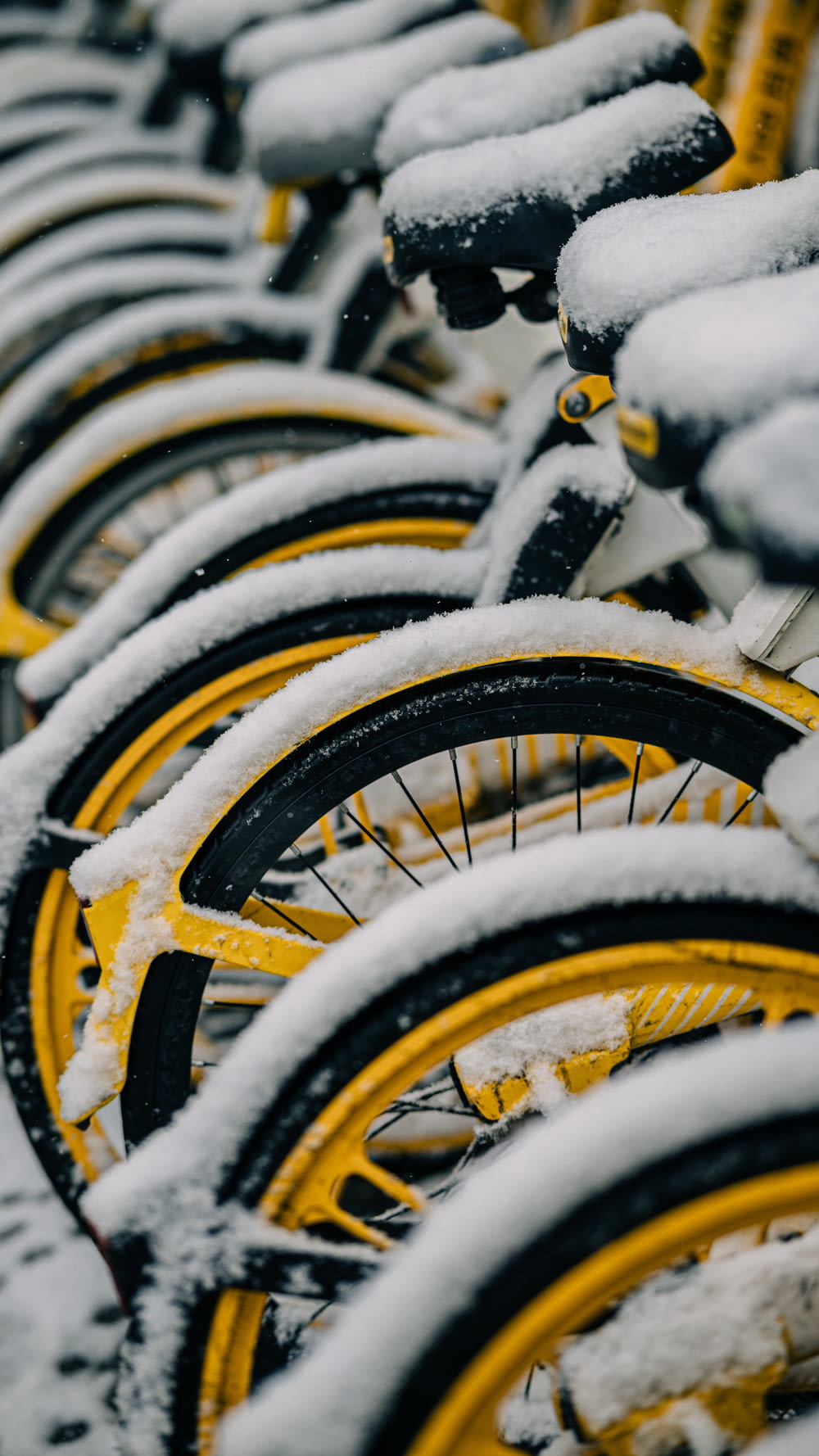 a row of yellow bicycles covered in snow