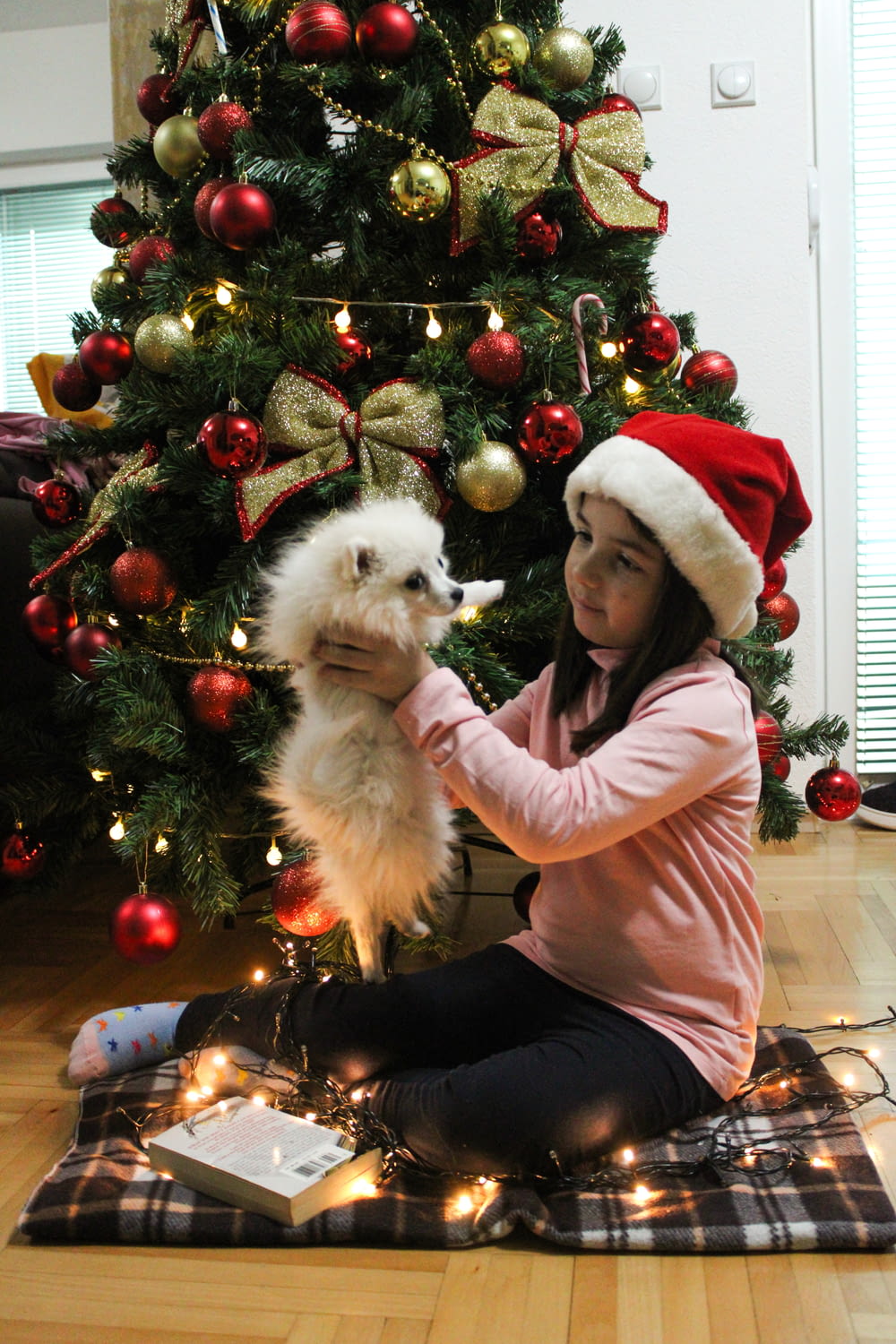 a girl in a santa hat petting a dog