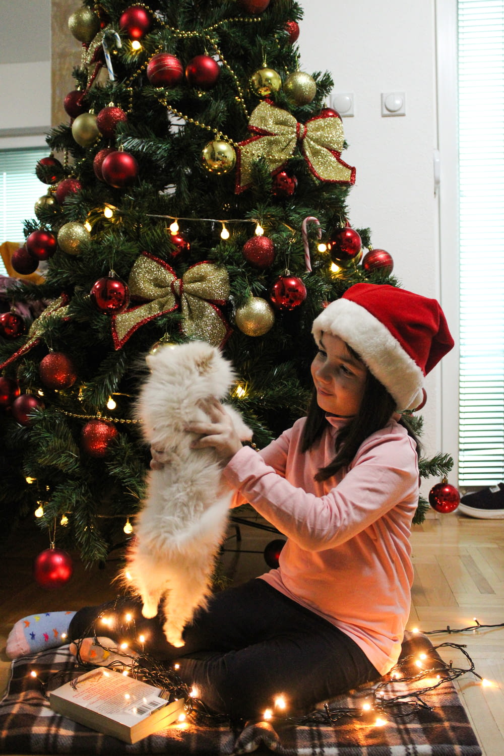 a girl in a santa hat petting a dog