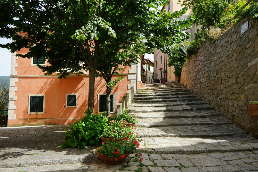 a cobblestone street lined with trees and flowers